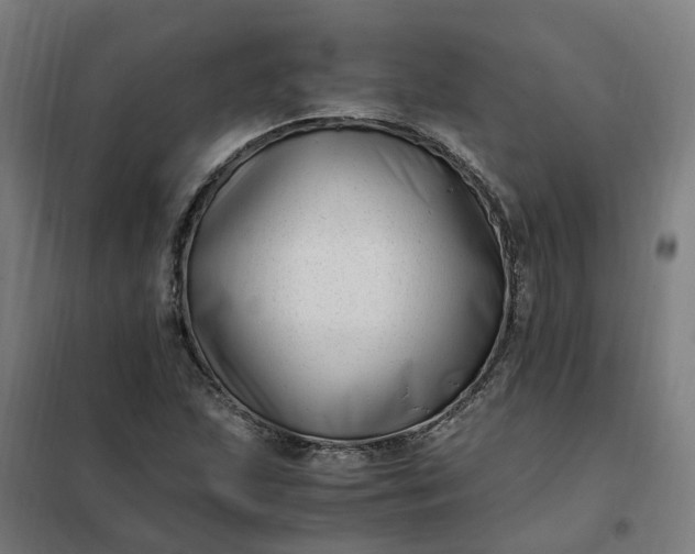 X0000101711215200807241448