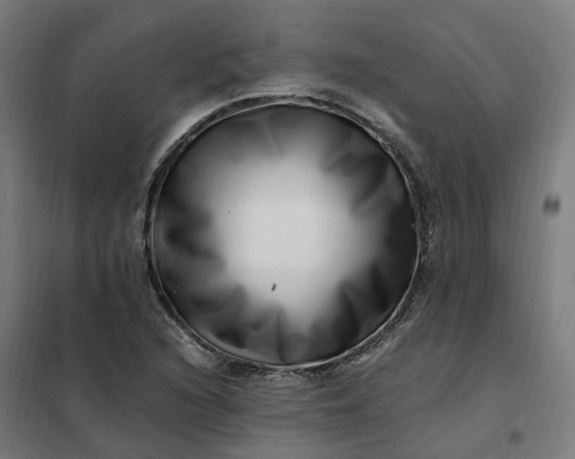 X0000101711216200807241448