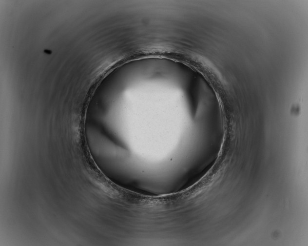 X0000101711217200807241448