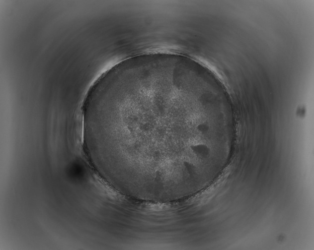 X0000101711219200807241448