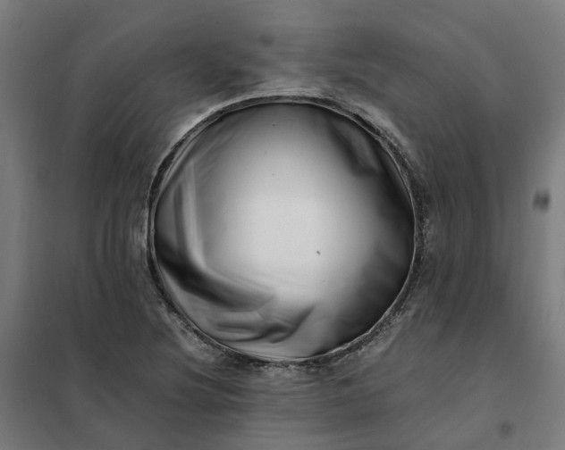 X0000101711220200807241448