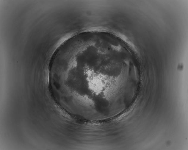 X0000101711221200807241448