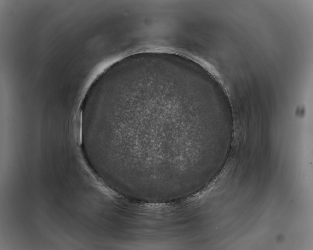 X0000101711223200807241448