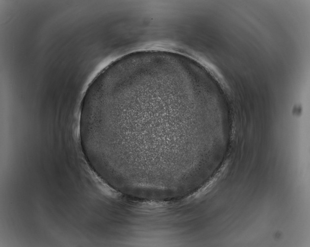 X0000101711224200807241448