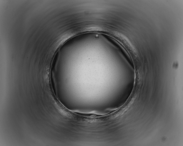 X0000101711225200807241448