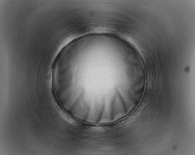 X0000101711227200807241448