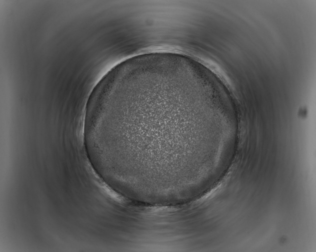 X0000101711228200807241448