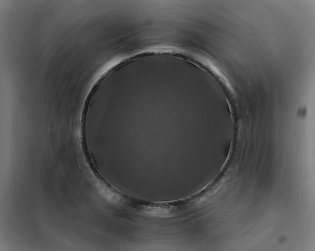 X0000101711229200807241448