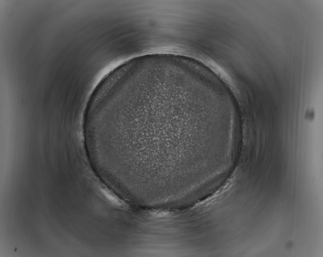 X0000101711230200807241448