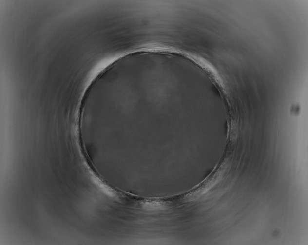 X0000101711231200807241448