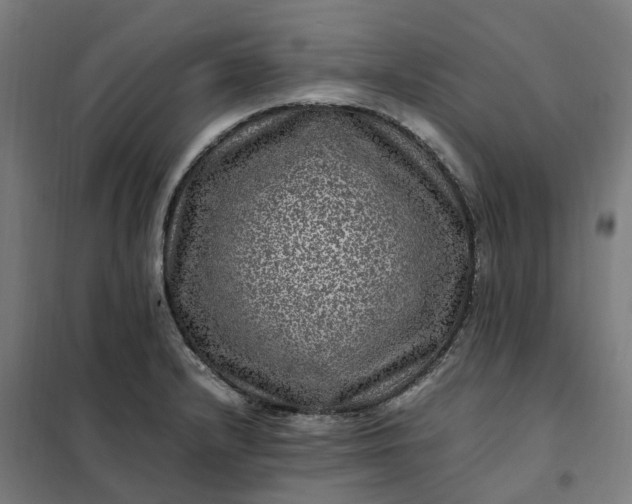 X0000101711232200807241448