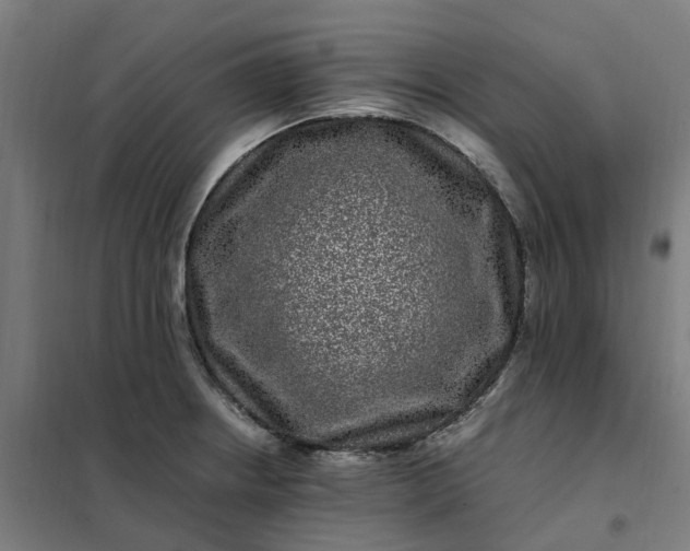 X0000101711234200807241448