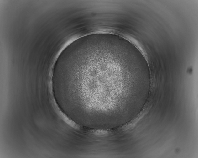 X0000101711235200807241448