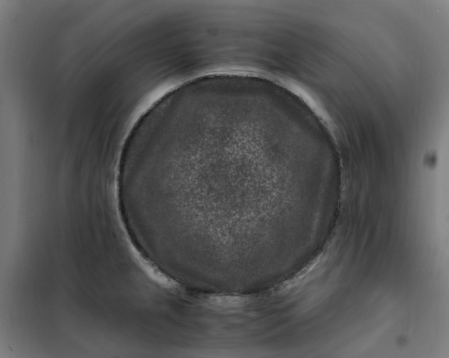 X0000101711237200807241448