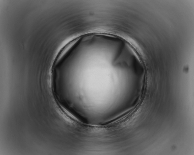 X0000101711238200807241448