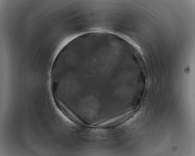 X0000101711239200807241448