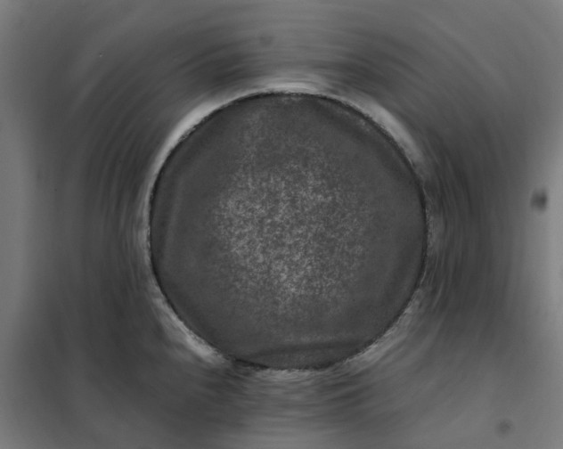 X0000101711240200807241448