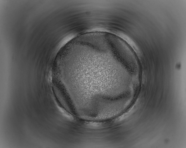 X0000101711241200807241448