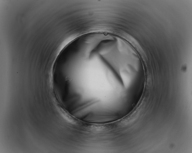 X0000101711242200807241448