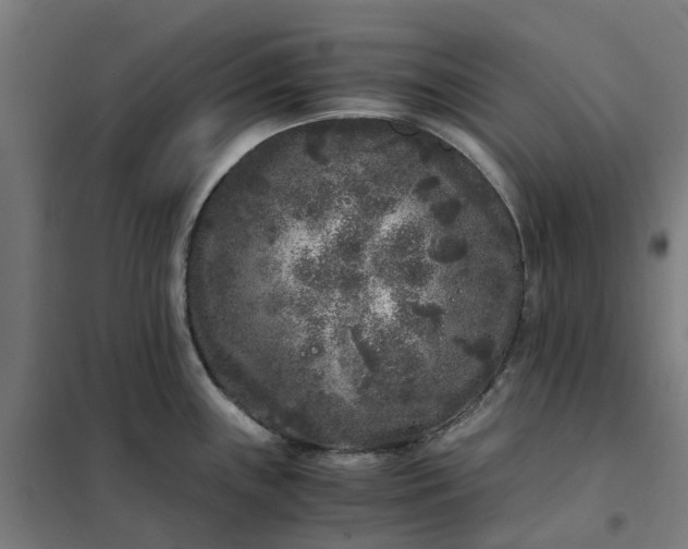 X0000101711243200807241448