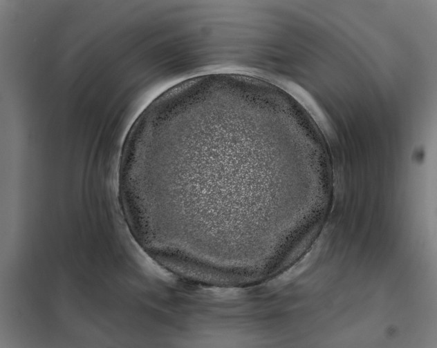 X0000101711244200807241448