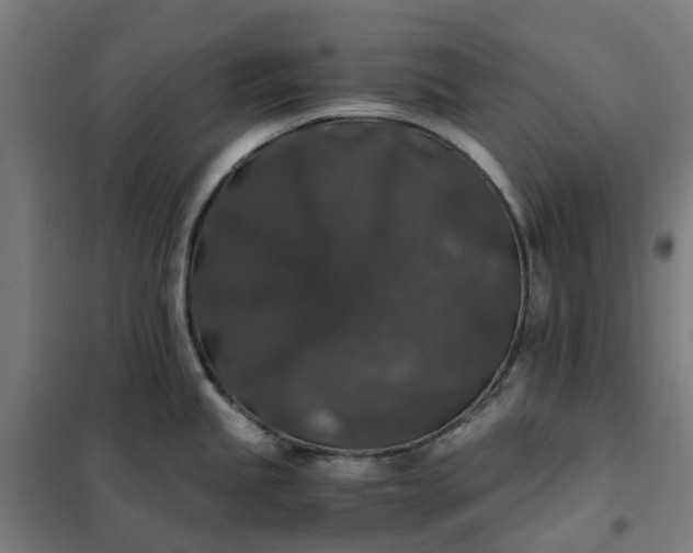 X0000101711245200807241448