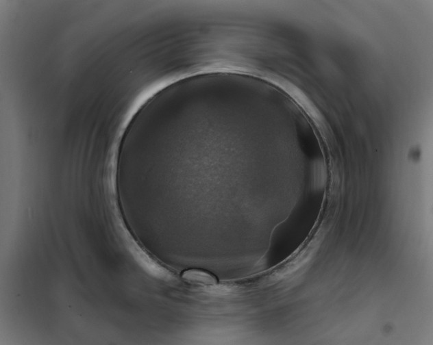 X0000101711246200807241448