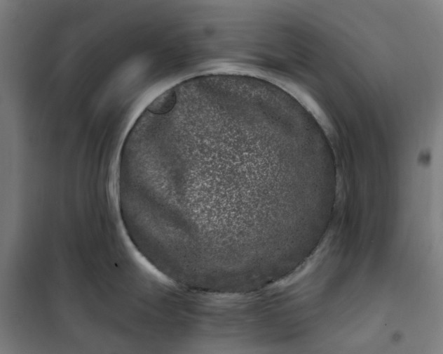 X0000101711247200807241448