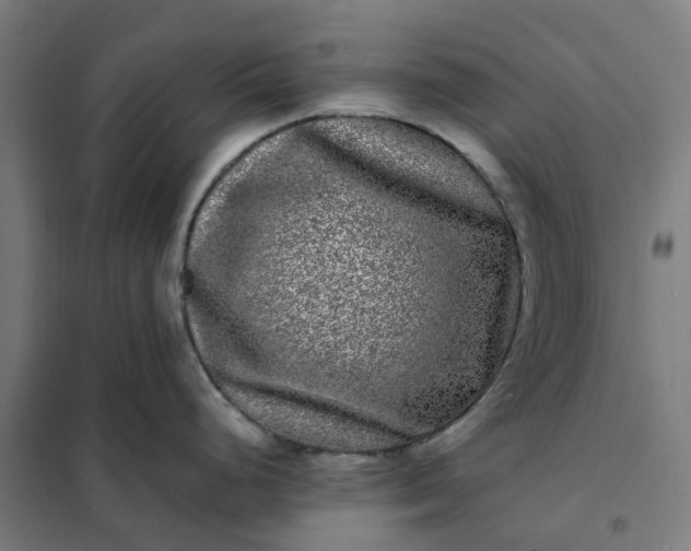 X0000101711248200807241449