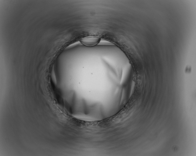 X0000101711249200807241448