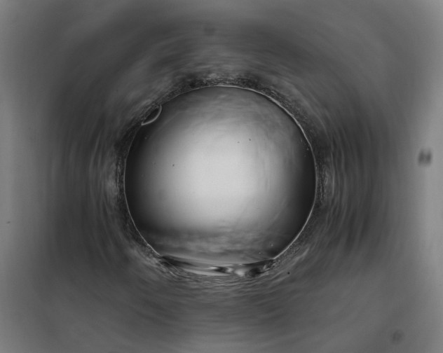 X0000101711250200807241448