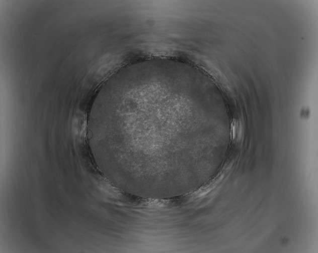 X0000101711251200807241448