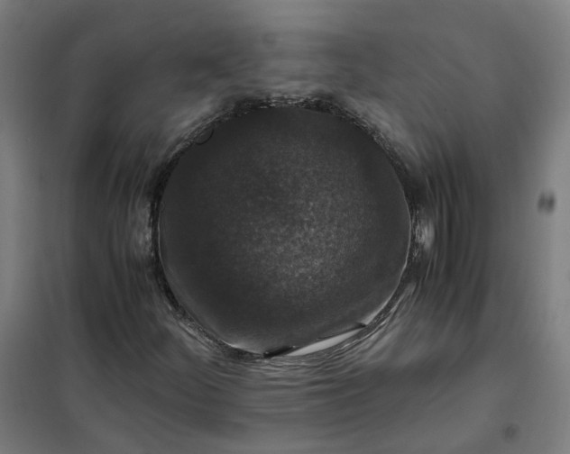 X0000101711252200807241448