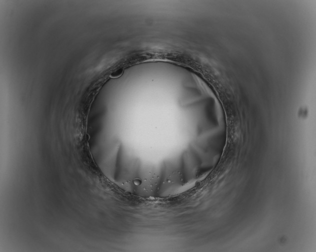 X0000101711253200807241448