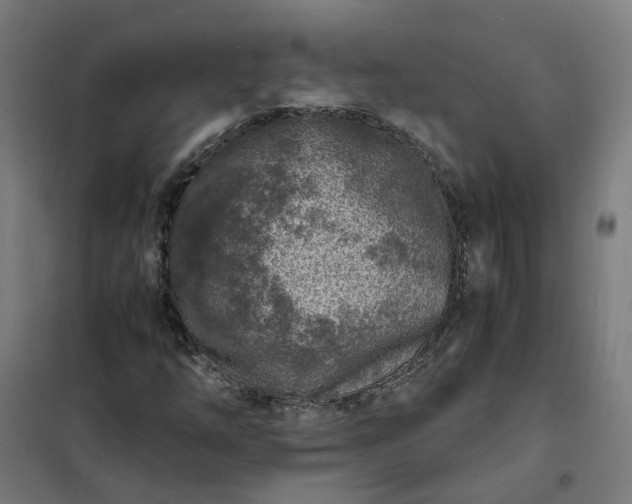 X0000101711254200807241448