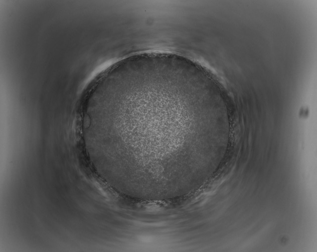 X0000101711255200807241448