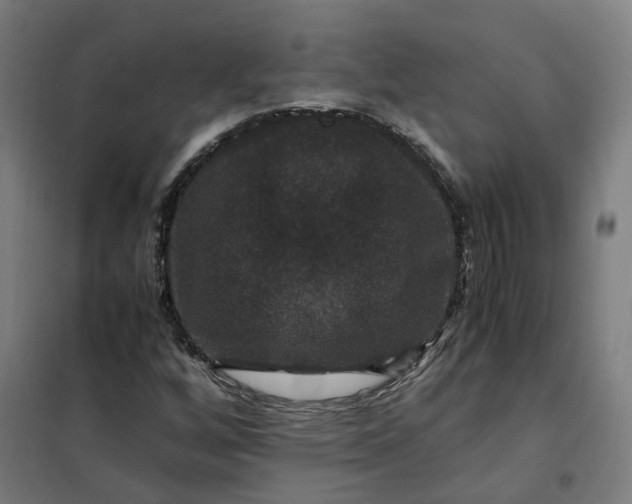 X0000101711256200807241448