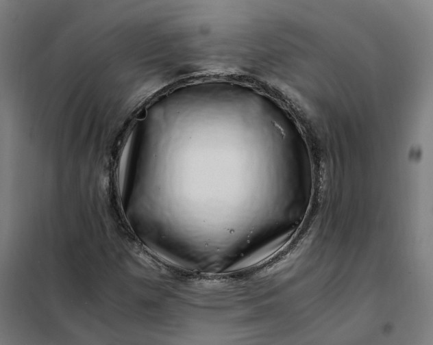 X0000101711257200807241448