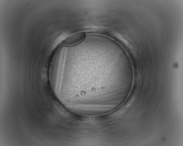 X0000101711259200807241448