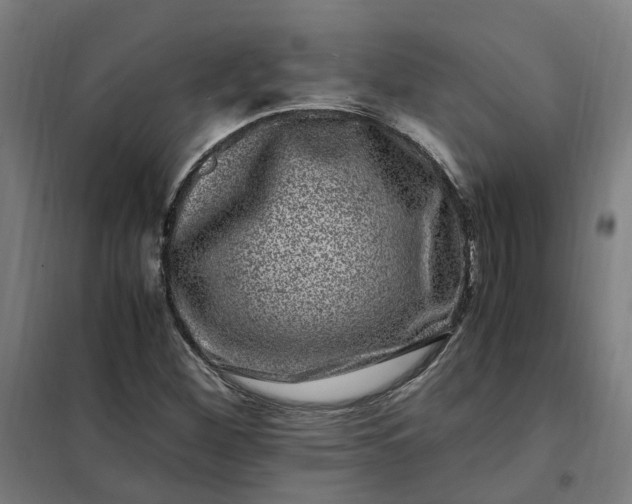 X0000101711260200807241448