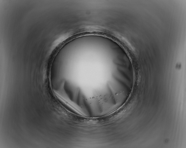 X0000101711261200807241448