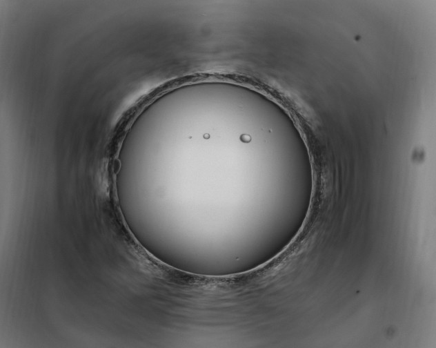 X0000101711262200807241448