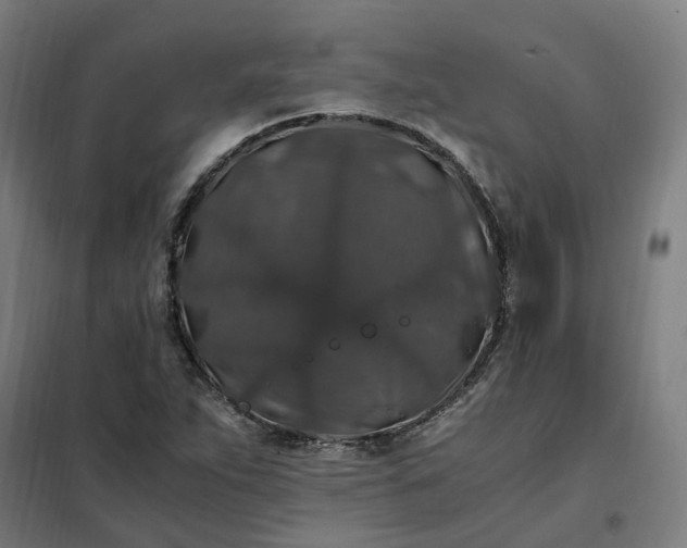 X0000101711263200807241448