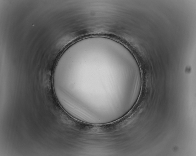 X0000101711265200807241448