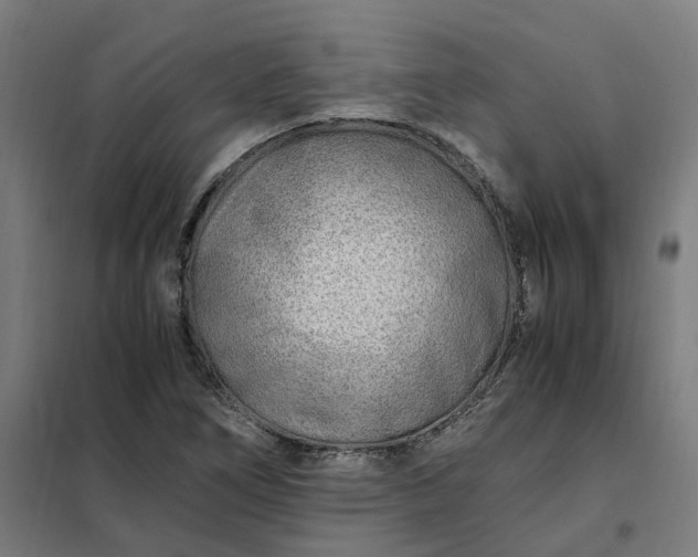 X0000101711266200807241448