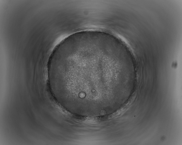 X0000101711267200807241448