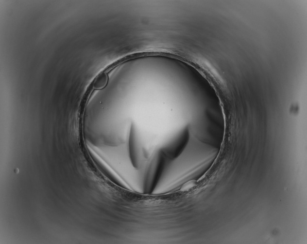 X0000101711268200807241448