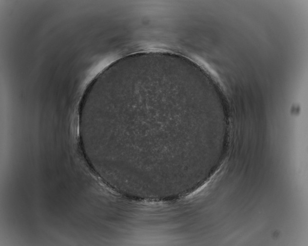 X0000101711269200807241448