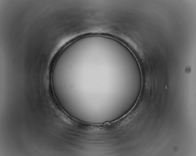 X0000101711270200807241448