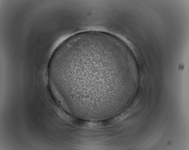 X0000101711271200807241448